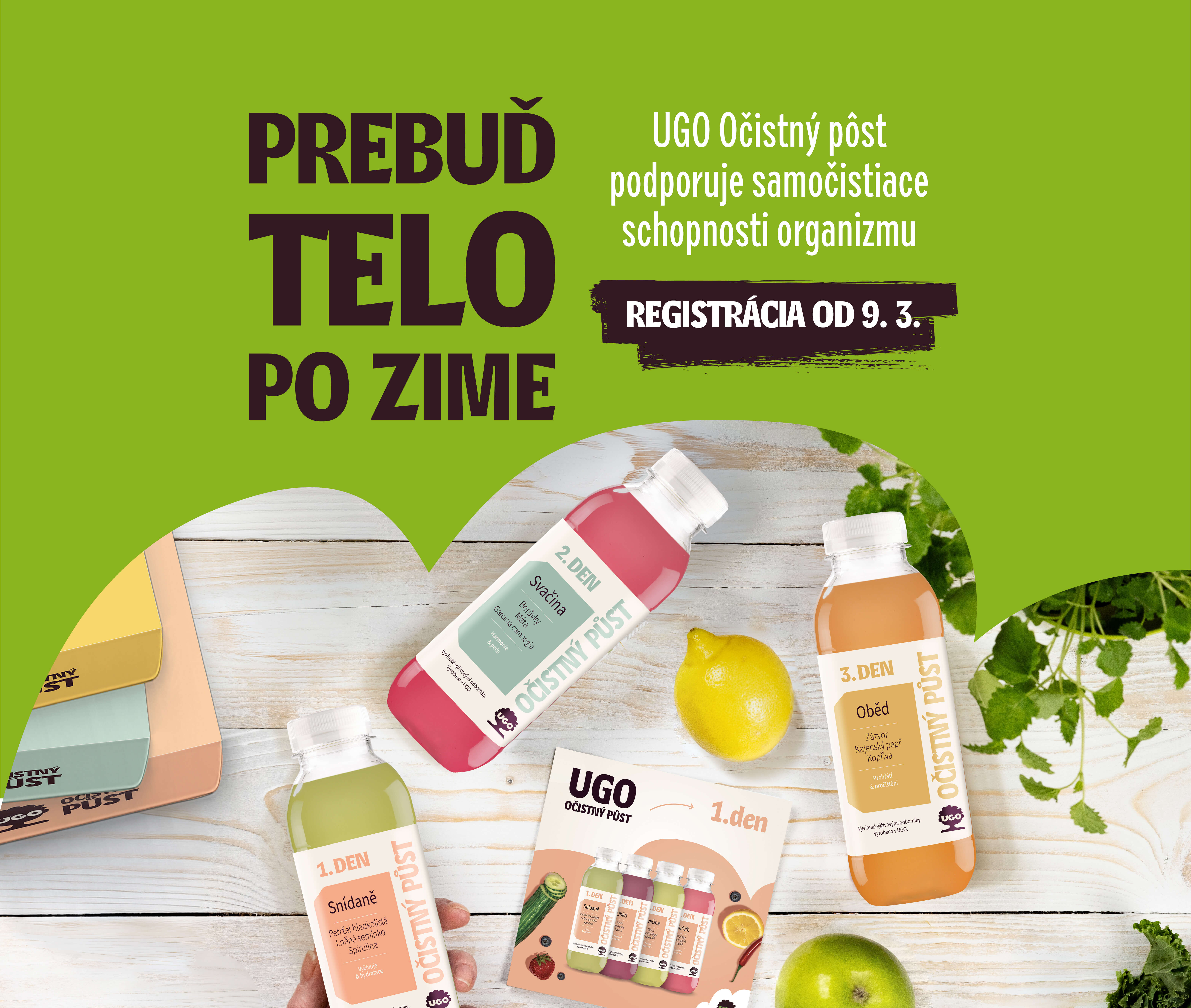 showcase--tablet--portrait